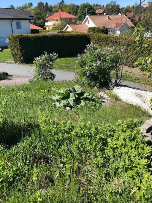 Comfortable 3 Bedroom Apartment On One Floor. Sandefjord Luaran gambar